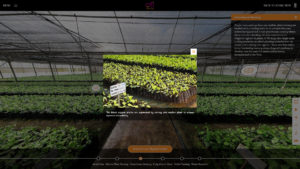 Hotspot display inside a 360° virtual visit.